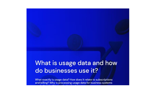 What is usage data and how do businesses use it?