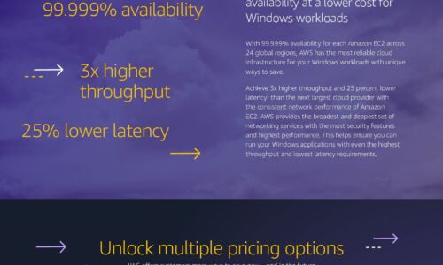 Windows Cost Savings Infographic